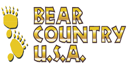 Bear Country Usa